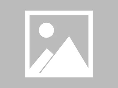 Pudgy Penguins' Next Evolution: Decoding the Price Surge, News, and What Comes Next